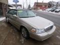 2008 Light French Silk Metallic Lincoln Town Car Signature Limited  photo #3