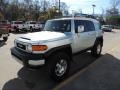 Titanium Metallic - FJ Cruiser 4WD Photo No. 5