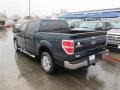 2014 Blue Jeans Ford F150 XLT SuperCrew  photo #5