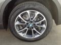 2014 BMW X5 sDrive35i Wheel and Tire Photo