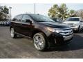 2014 Kodiak Brown Ford Edge SEL  photo #3