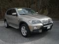 Platinum Bronze Metallic 2007 BMW X5 4.8i