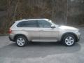 Platinum Bronze Metallic - X5 4.8i Photo No. 2