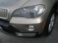 Platinum Bronze Metallic - X5 4.8i Photo No. 10