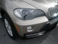 Platinum Bronze Metallic - X5 4.8i Photo No. 11
