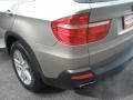 Platinum Bronze Metallic - X5 4.8i Photo No. 18