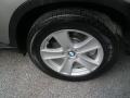 Platinum Bronze Metallic - X5 4.8i Photo No. 19