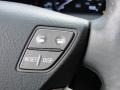 Mercury Silver Metallic - LS 460 Photo No. 39