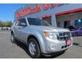 Ingot Silver Metallic 2010 Ford Escape XLT V6