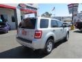 Ingot Silver Metallic - Escape XLT V6 Photo No. 7