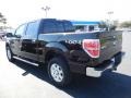 2013 Kodiak Brown Metallic Ford F150 XLT SuperCrew 4x4  photo #3