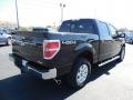 2013 Kodiak Brown Metallic Ford F150 XLT SuperCrew 4x4  photo #8