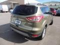 2013 Ginger Ale Metallic Ford Escape SE 2.0L EcoBoost  photo #14