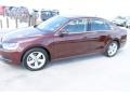 Opera Red Metallic - Passat 2.5L SE Photo No. 5