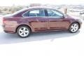 Opera Red Metallic - Passat 2.5L SE Photo No. 11