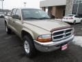 2004 Light Almond Pearl Metallic Dodge Dakota SLT Quad Cab 4x4  photo #2