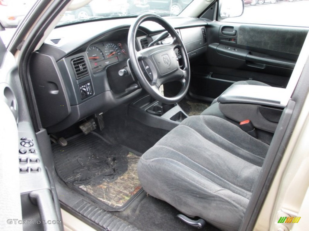 2004 Dakota SLT Quad Cab 4x4 - Light Almond Pearl Metallic / Dark Slate Gray photo #6