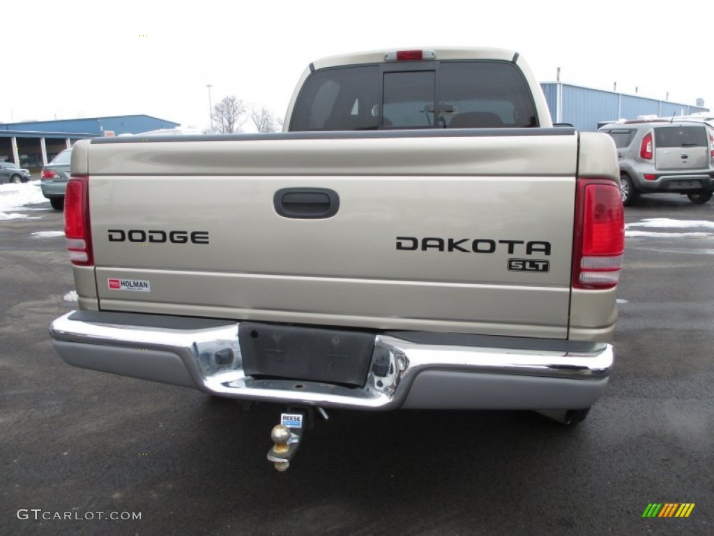 2004 Dakota SLT Quad Cab 4x4 - Light Almond Pearl Metallic / Dark Slate Gray photo #22