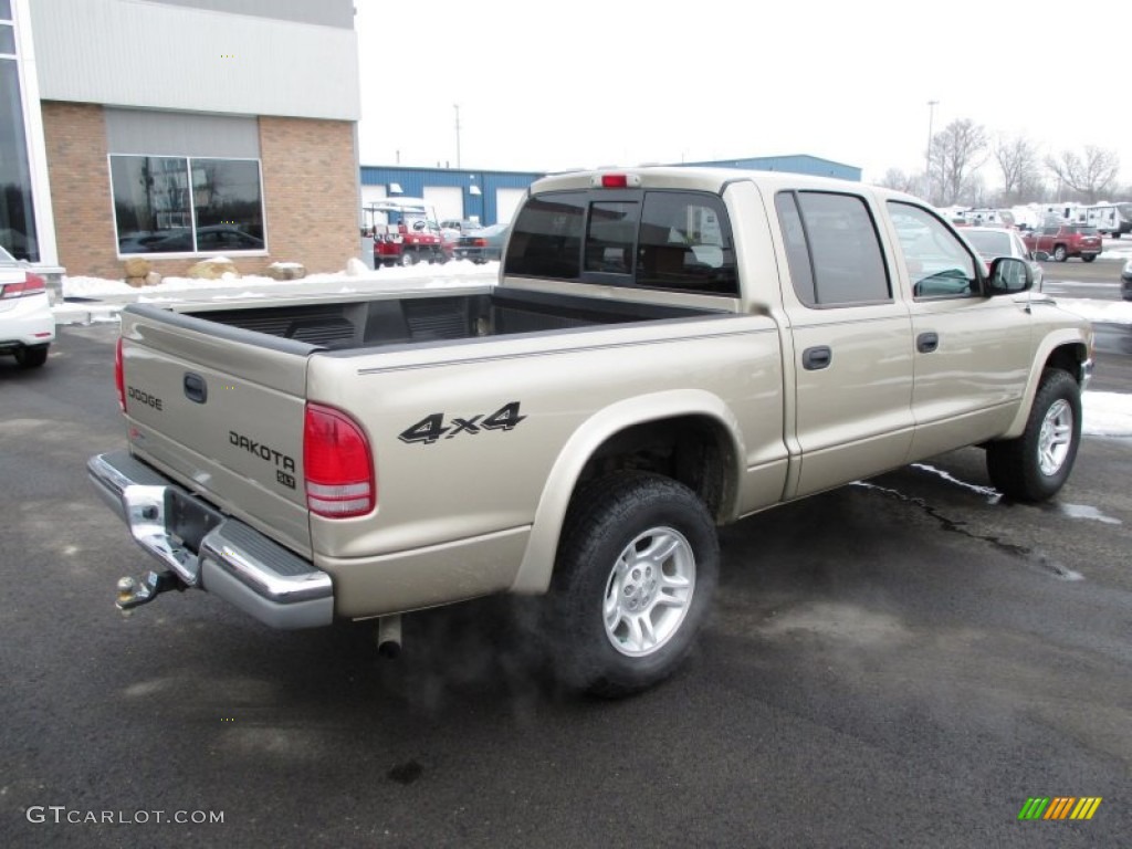 2004 Dakota SLT Quad Cab 4x4 - Light Almond Pearl Metallic / Dark Slate Gray photo #26