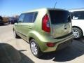 2013 Alien Green Kia Soul +  photo #6