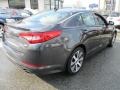 Platinum Graphite - Optima SX Photo No. 6