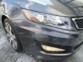 Platinum Graphite - Optima SX Photo No. 26