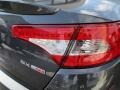 Platinum Graphite - Optima SX Photo No. 29