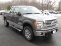 2013 Sterling Gray Metallic Ford F150 XLT SuperCab 4x4  photo #1