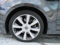 Platinum Graphite - Optima SX Photo No. 32