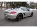 Platinum Silver Metallic - Cayman S Photo No. 6