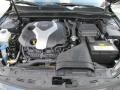 Platinum Graphite - Optima SX Photo No. 51