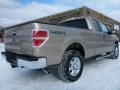 2014 Pale Adobe Ford F150 XL SuperCab 4x4  photo #2