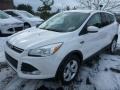 2014 White Platinum Ford Escape SE 2.0L EcoBoost 4WD  photo #6