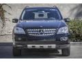 Black - ML 350 4Matic Photo No. 2