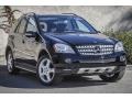 Black - ML 350 4Matic Photo No. 10