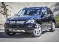 Black - ML 350 4Matic Photo No. 12