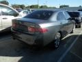 Carbon Gray Pearl - TSX Sedan Photo No. 3