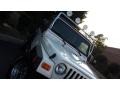 Stone White - Wrangler SE 4x4 Photo No. 11