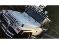 Stone White - Wrangler SE 4x4 Photo No. 13