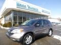 2010 Urban Titanium Metallic Honda CR-V EX AWD  photo #1