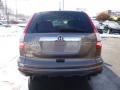 2010 Urban Titanium Metallic Honda CR-V EX AWD  photo #4
