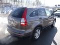 2010 Urban Titanium Metallic Honda CR-V EX AWD  photo #5