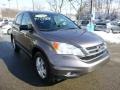 2010 Urban Titanium Metallic Honda CR-V EX AWD  photo #7