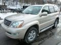 2006 Savannah Beige Metallic Lexus GX 470  photo #2