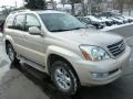 2006 Savannah Beige Metallic Lexus GX 470  photo #3