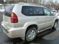 2006 Savannah Beige Metallic Lexus GX 470  photo #11