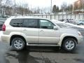 2006 Savannah Beige Metallic Lexus GX 470  photo #12