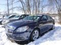 2008 Imperial Blue Metallic Chevrolet Malibu LT Sedan  photo #1