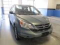 2011 Opal Sage Metallic Honda CR-V LX 4WD  photo #5