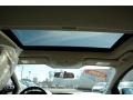 Ingot Silver - Focus SE Hatchback Photo No. 13
